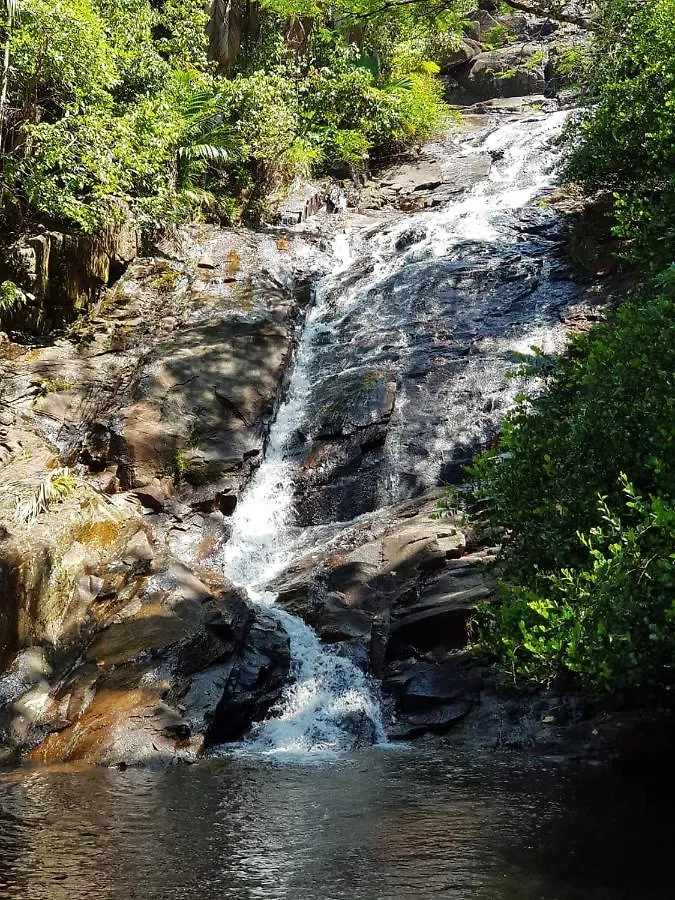Bed & Breakfast Waterfall Accomodation Port Glaud Seychellerna
